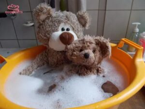 Cách giặt gấu bông bằng tay